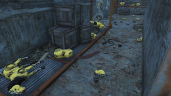 Where Is Atomatoys Id Card